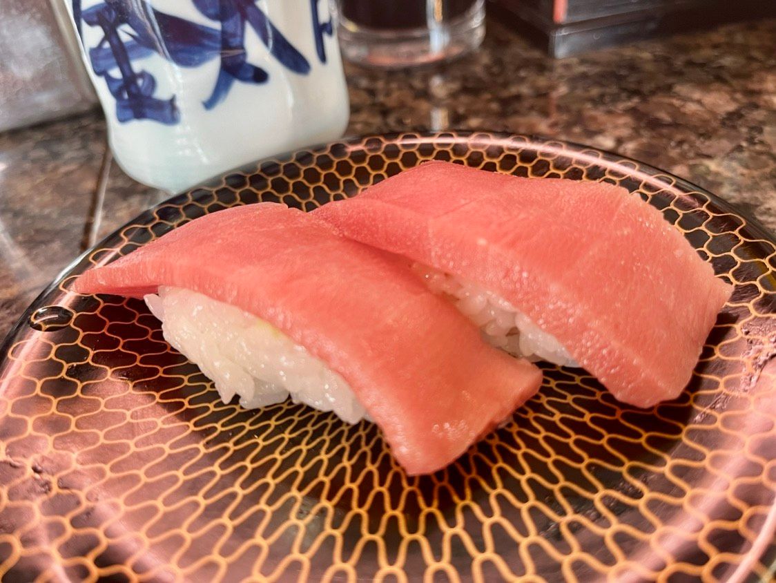 本マグロ中トロ