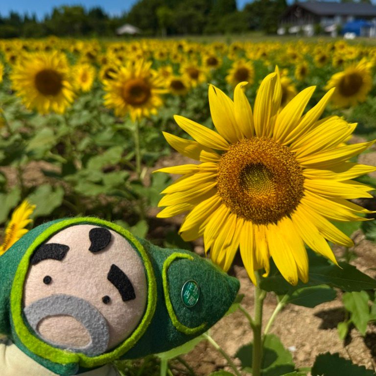 だだちゃん
