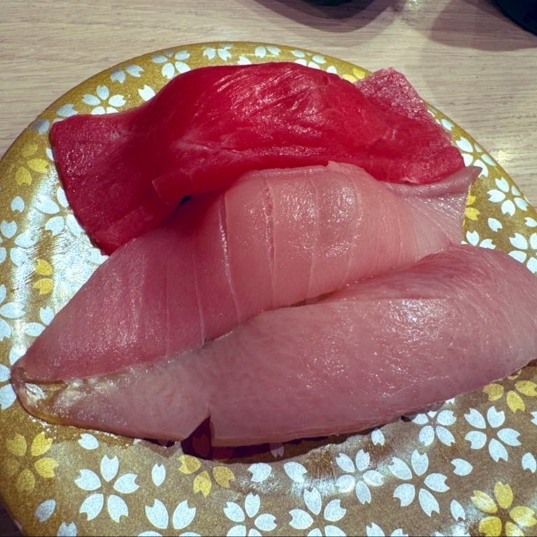 本鮪